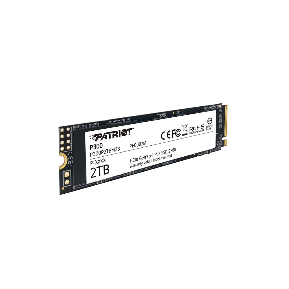 1S1PTR-P300P2TBM28