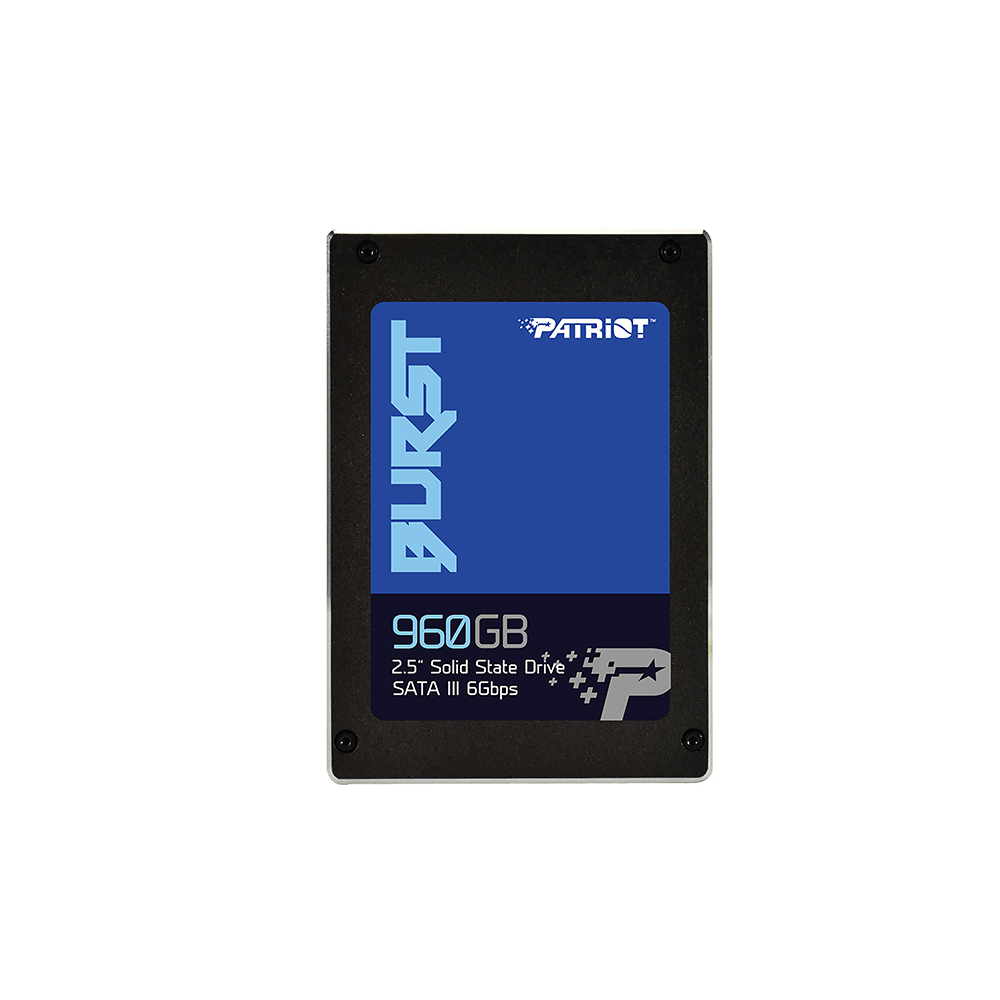 1S1PTR-PBU960GS25SSDR