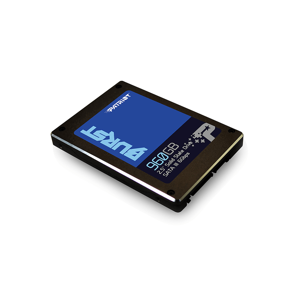 1S1PTR-PBU960GS25SSDR