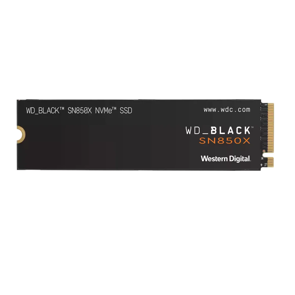 1S1WDC-WDS100T2X0E
