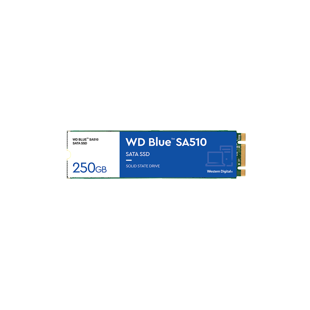 1S1WDC-WDS250G3B0B