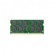Synology D4ECSO-2666-16G